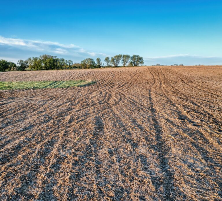 pexels-tom-fisk-12486436-scaled